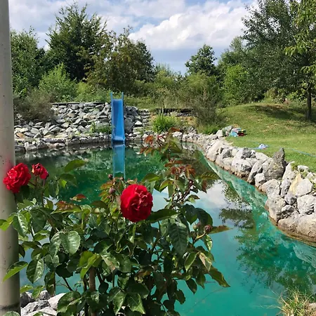 Garden Near Munich Althegnenberg