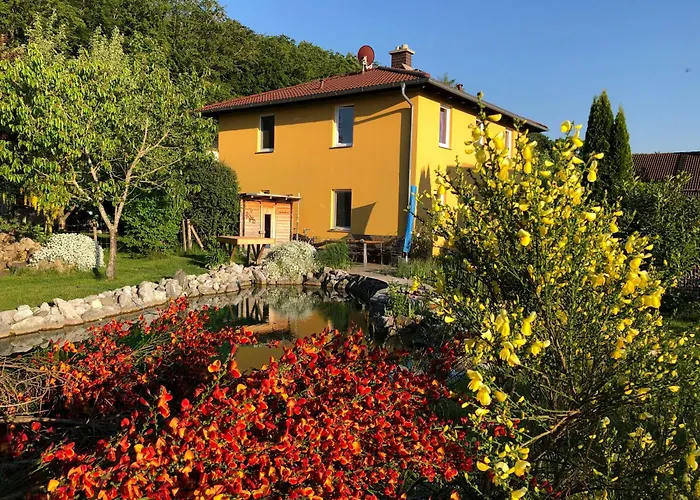 Garden Near Munich *